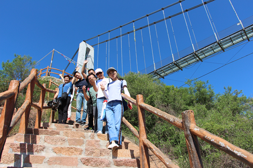 首页 - NG电子官方网站